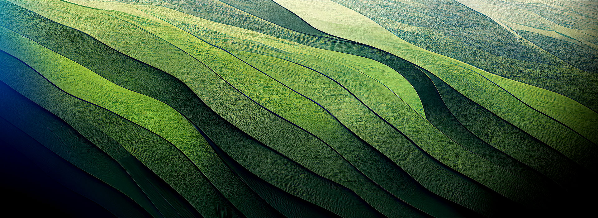 Portfólio verde