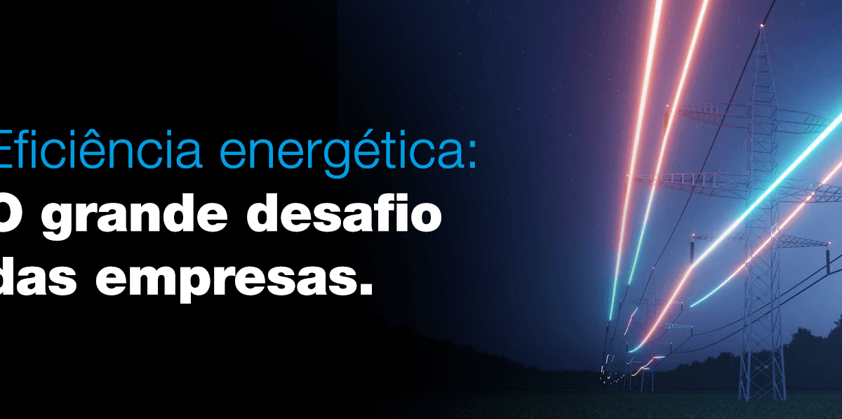EFICIÊNCIA ENERGÉTICA: o grande desafio das empresas